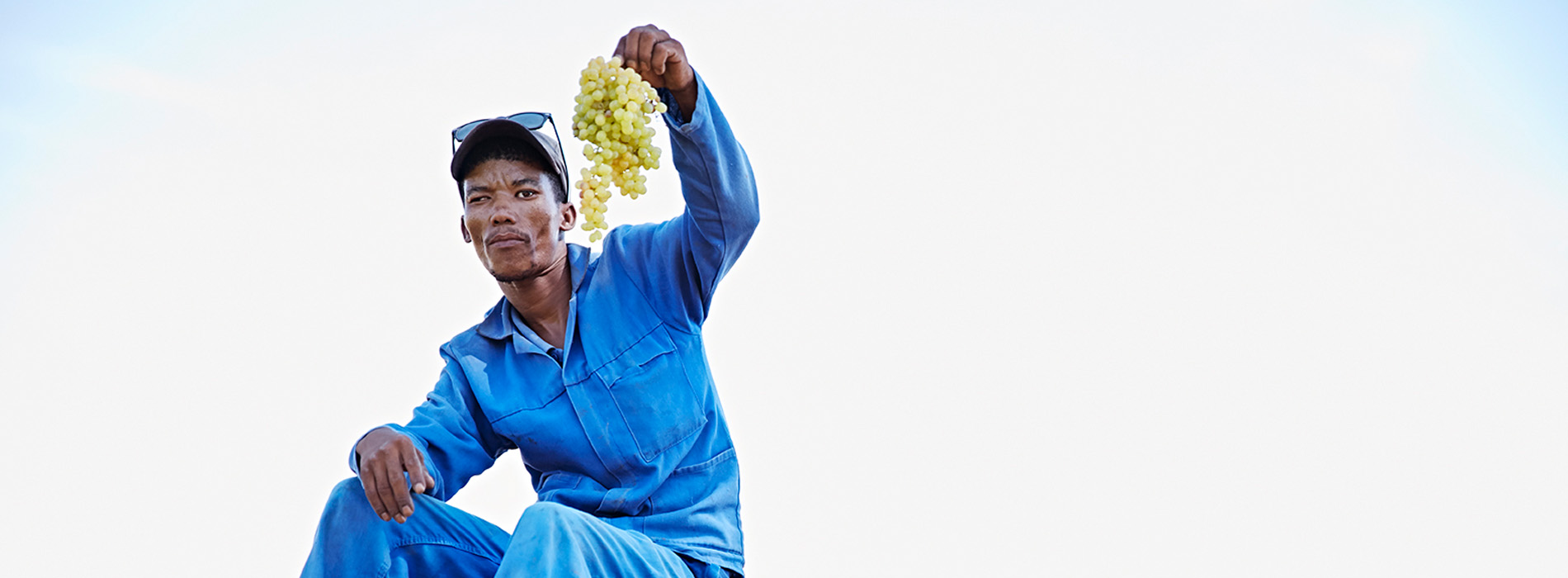 Elmboog Organiese Boerdery Our Workers 1