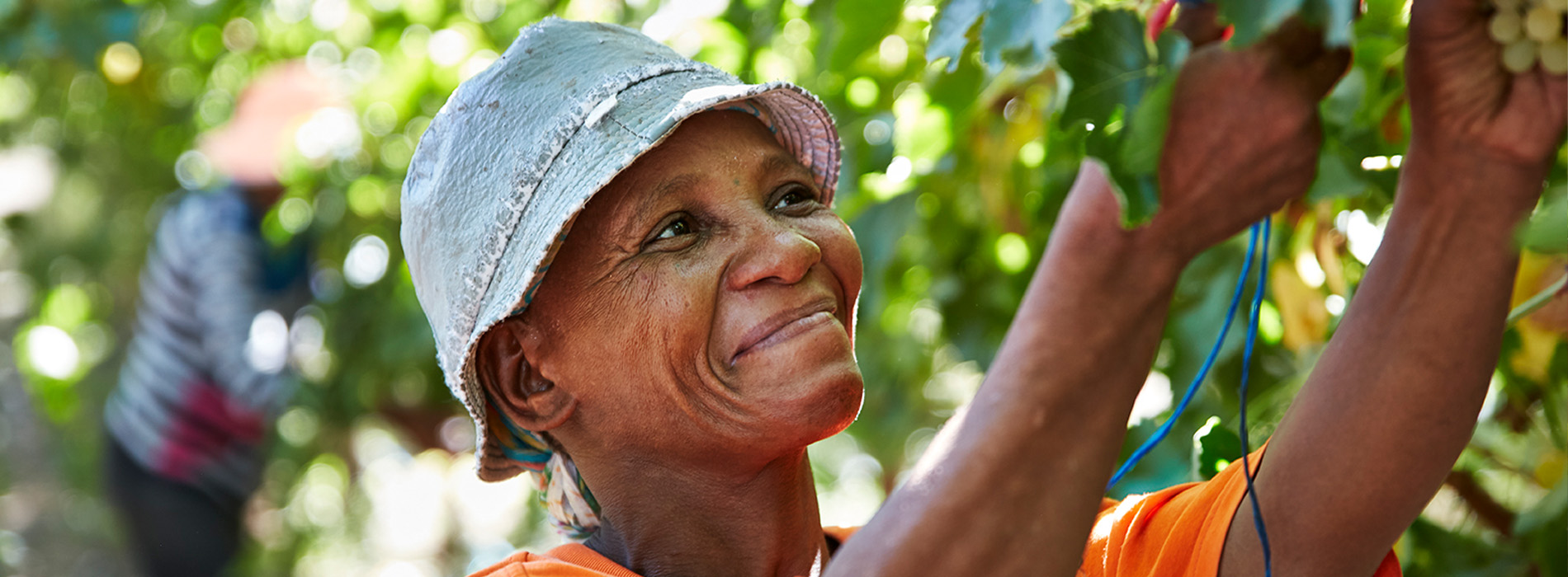 Elmboog Organiese Boerdery Our Workers 4
